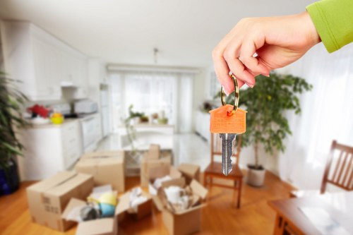 Packing materials and boxed household belongings